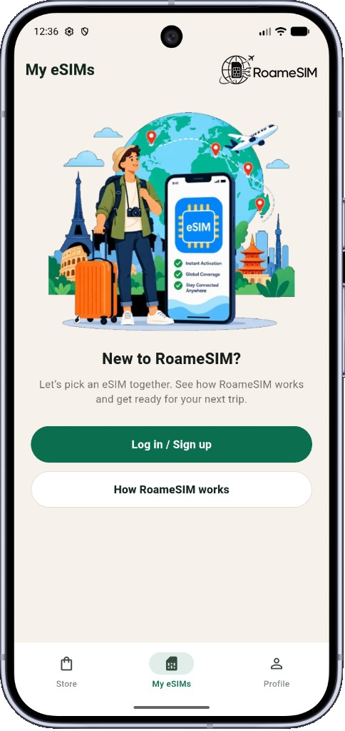 RoameSIM app My eSIMs screen
